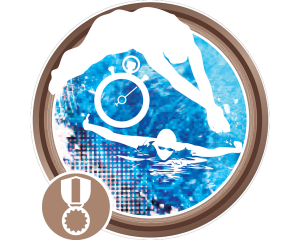 Advanced Series - Bronze Award