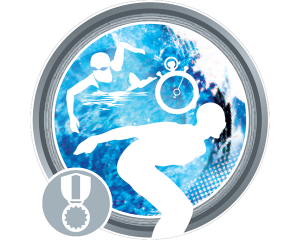 Advanced Series - Silver Award